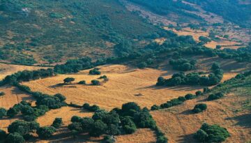 landscape-near-luogosanto-gallura-sardinia-italy-news-photo-1698064478