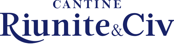 logo_riuniteciv_2022_blu
