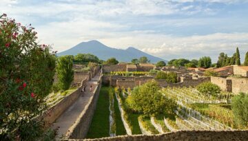 vineyard-in-pompeii-royalty-free-image-1696523414