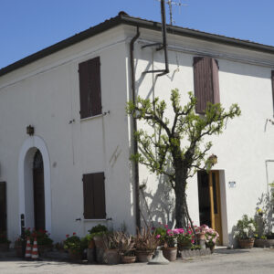 Casa Vinicola Battistini